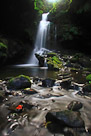 One of the many hidden waterfalls along The Road to Hana, Maui, Hawaii.