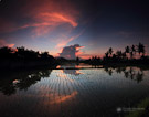 Rice fields mirror the clouds at sunrise. Bali, Indonesia.
